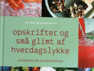 Opskrifter og små glimt af hverdagslykke fra Valdemarsro.dk